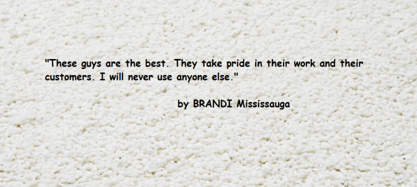 Customer review from Mississauga