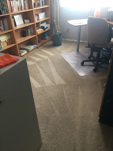 Professional carpet cleaning results by Mr. Steamer